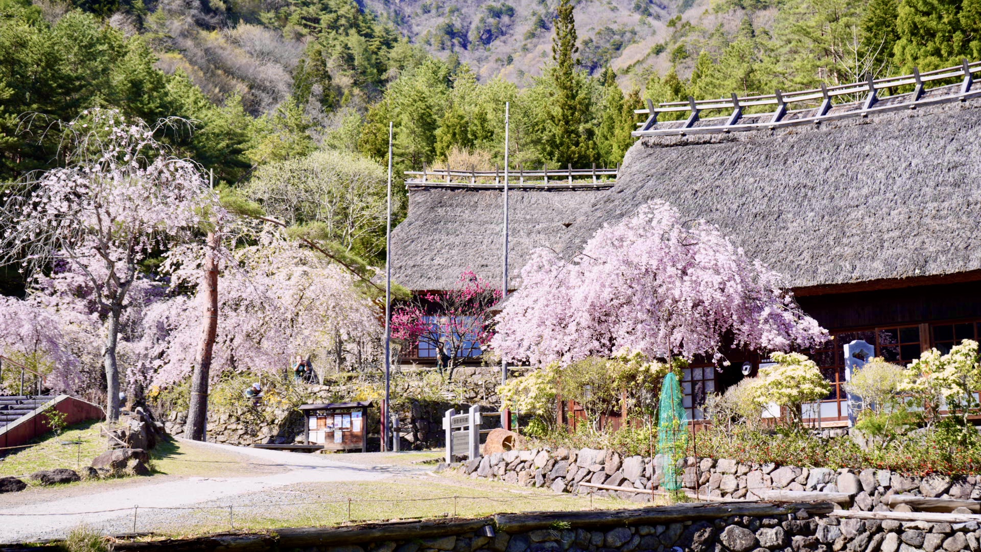 西湖 療癒之里 根場